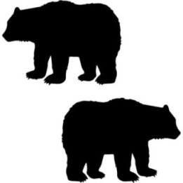 Buy Bear Grizzly Decal Sticker Online