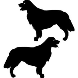 Buy Golden Retriever Dog Decal Sticker Online