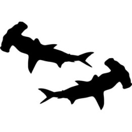 Hammerhead Shark Stickers – Sea Life Decals (2-Pack)