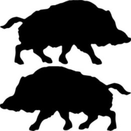 Buy Wild Boar Vinyl Decal Online