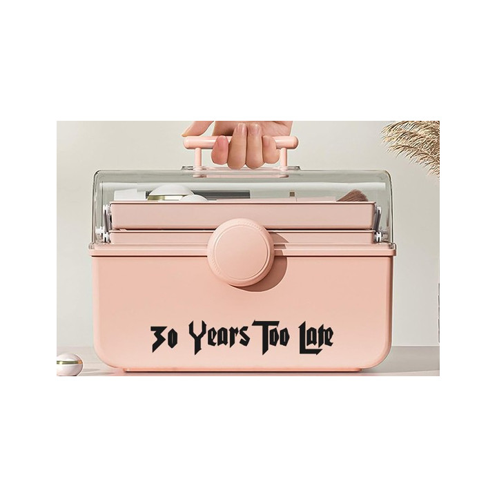 30 Years Too Late Stickers – Punk Rock Decals (2-Pack)