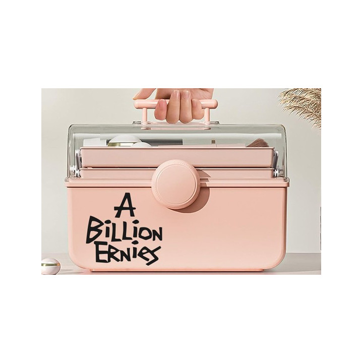 A Billion Ernies Stickers – Ska Punk Decals (2-Pack)