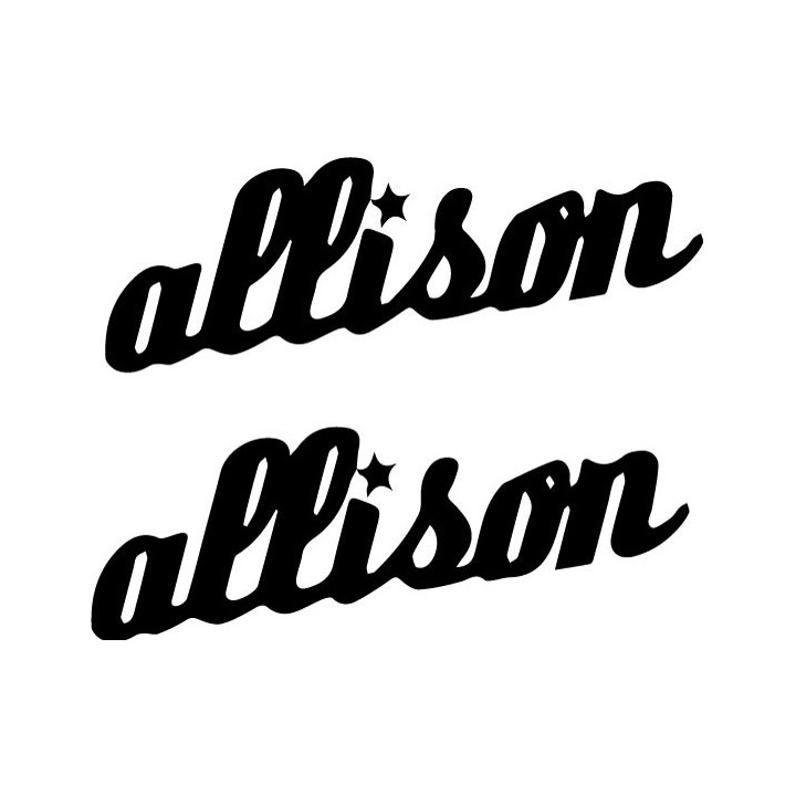 Allison Rock Band Stickers – Music Decals (2-Pack)