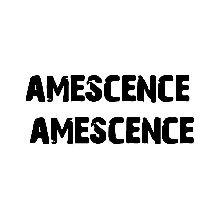 Amescence Stickers – Rock Band Music Decals (2-Pack)