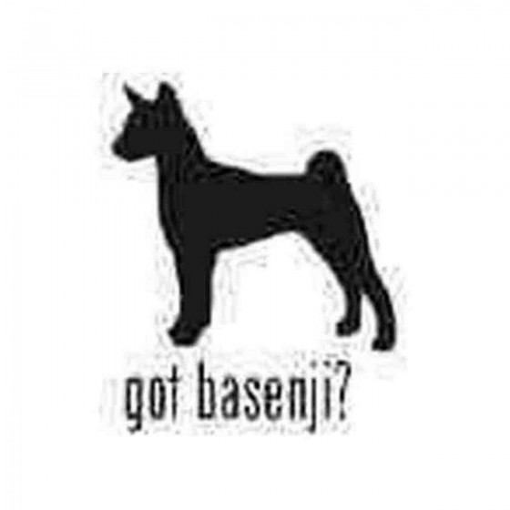 Got Basenji Hound Dog 1...
