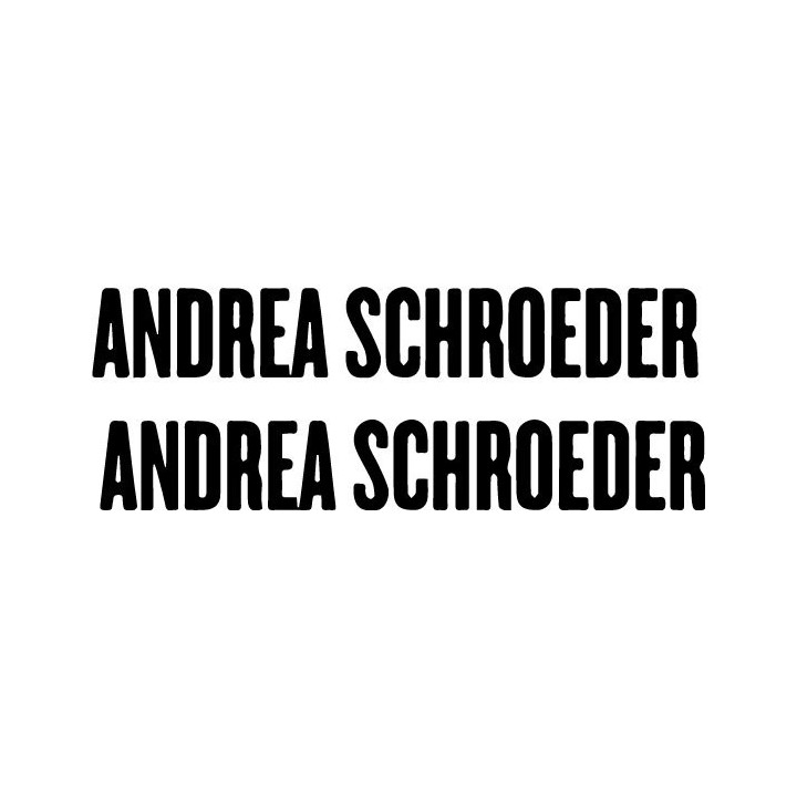 Andrea Schroeder Stickers – Noir Pop Music Decals (2-Pack)