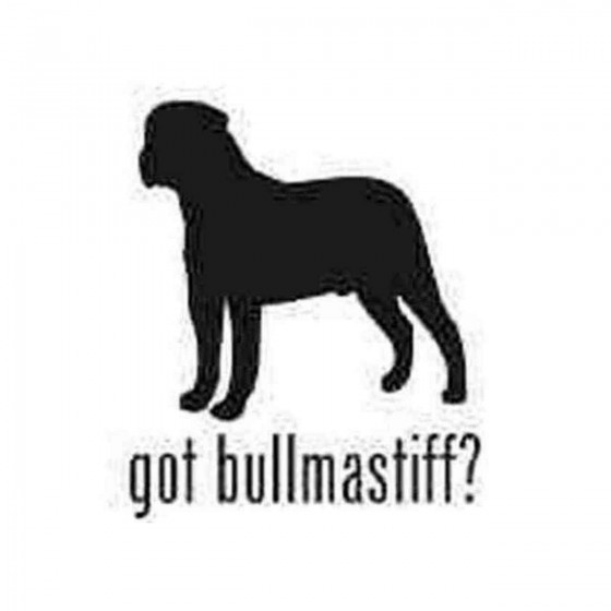 Got Bullmastiff Dog...