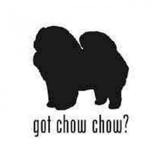 Got Chow Chow Dog...