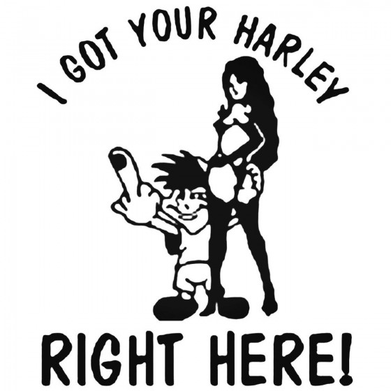 Got S I Got Your Harley...