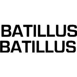 Batillus Stickers – Doom Sludge Metal Decals (2-Pack)