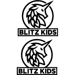 Blitz Kids Stickers – Band Logo Rock Decals (2-Pack)