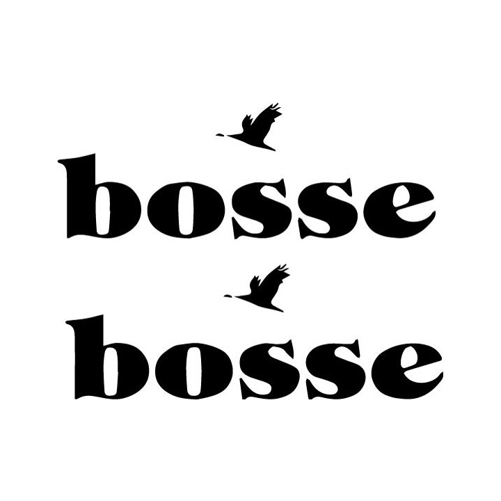 Bosse Stickers – Indie Pop Rock Band Decals (2-Pack)