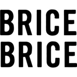Brice Band Stickers – Pop Rock Music Decals (2-Pack)