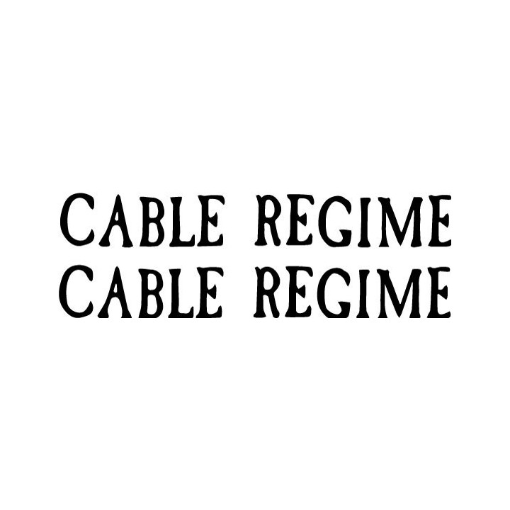 Cable Regime Stickers – Alternative Rock Decals (2-Pack)