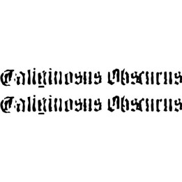 Caliginosus Obscurus Stickers – Black Metal Decals (2-Pack)