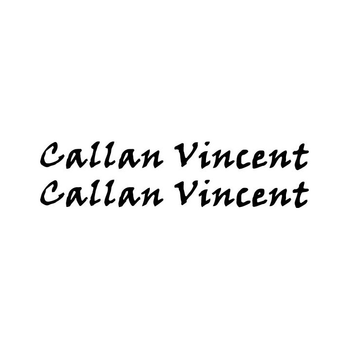 Callan Vincent Stickers – Indie Rock Music Decals (2-Pack)