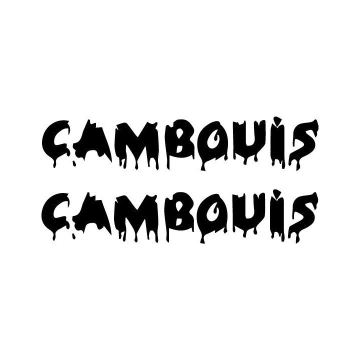 Cambouis Stickers – French Rock Band Decals (2-Pack)