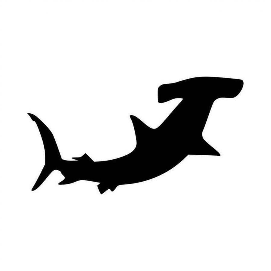 Free Free 296 Silhouette Hammerhead Shark Svg SVG PNG EPS DXF File