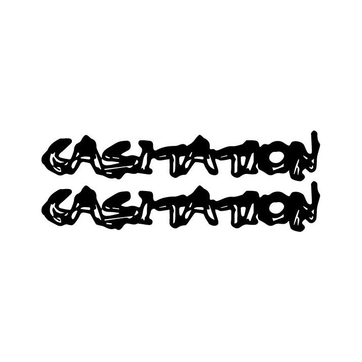 Casitation Band Stickers – Indie Rock Decals (2-Pack)