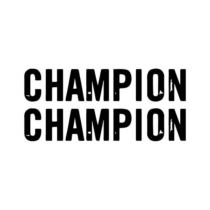 Champion Band Stickers – Hardcore Punk Decals (2-Pack)