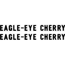 Eagle-Eye Cherry Stickers – Save Tonight Decals (2-Pack)