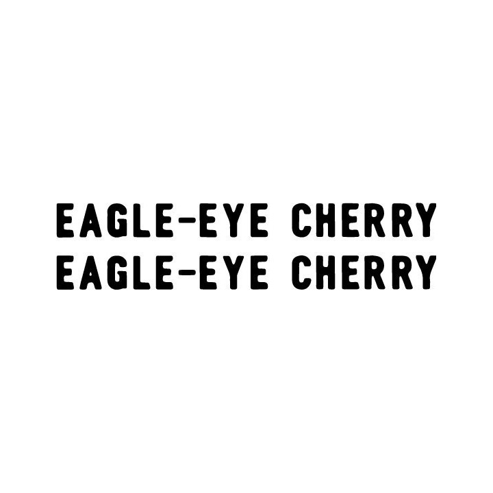 Eagle-Eye Cherry Stickers – Save Tonight Decals (2-Pack)