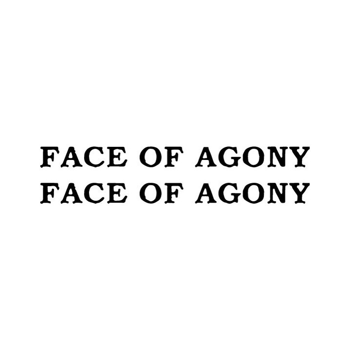 Face of Agony Stickers – Metal Band Decals (2-Pack)