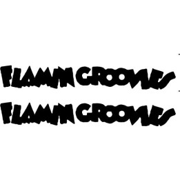 Flamin' Groovies Stickers – Rock Band Decals (2-Pack)