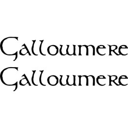 Gallowmere Stickers – Heavy Metal Band Decals (2-Pack)