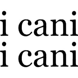 I Cani Stickers – Italian Indie Band Decals (2-Pack)