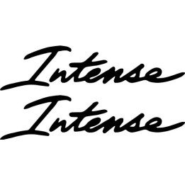 Intense Cycles Stickers – MTB Frame Decals (2-Pack)