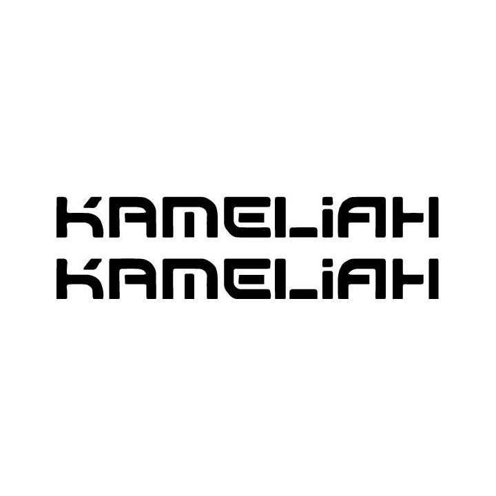 Kameliah Stickers – Band Logo Metal Decals (2-Pack)